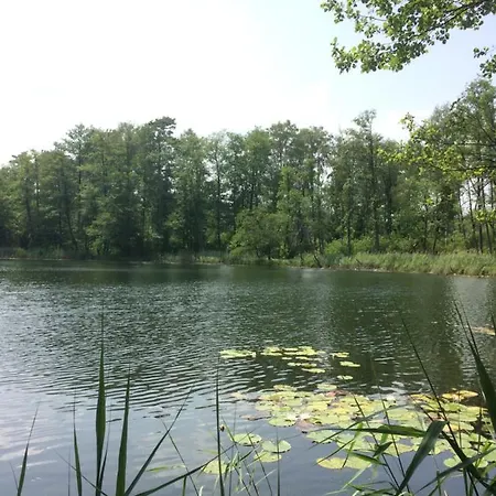 Frühstückspension Satnatorium Tuczno (Walcz)